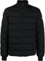 padded high-neck jacket