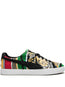 Trampki Clyde Coogi