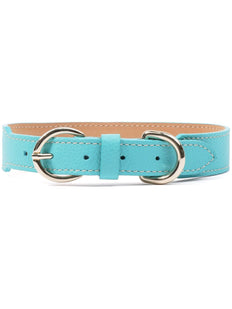 double-buckled leather dog collar