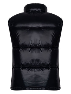 Ailantus gilet
