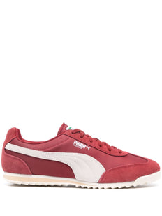 Arizona sneakers